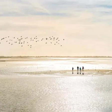 Maison Confortable, Terrasse Et Jardin à Hébergement de vacances
