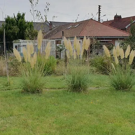 Maison Confortable, Terrasse Et Jardin à Amiens