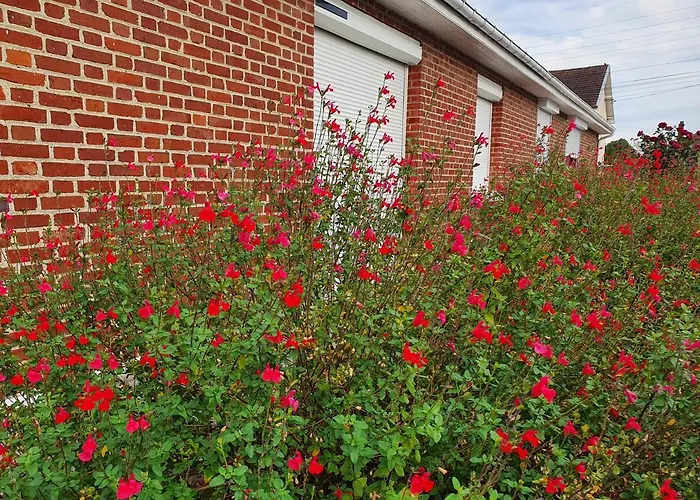 Maison Confortable, Terrasse Et Jardin A Ferienhaus