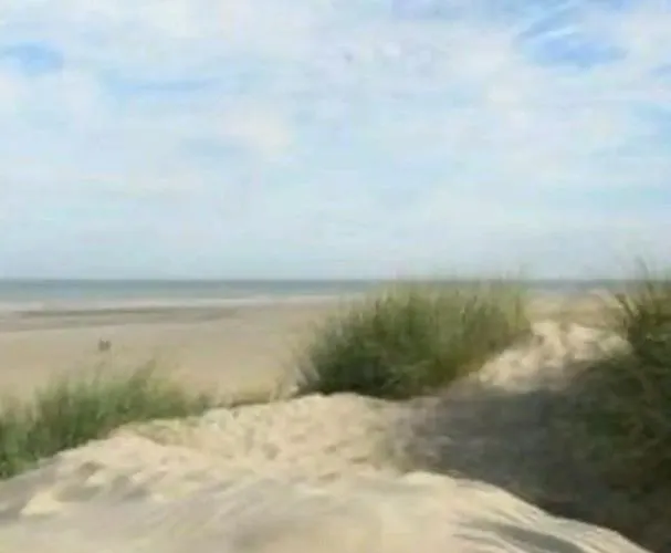 Maison Confortable, Terrasse Et Jardin A * Amiens